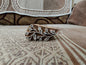 Stem Plant pottery stamp ceramic mold scrapbooking tjap batik printing floral carved stamps.
